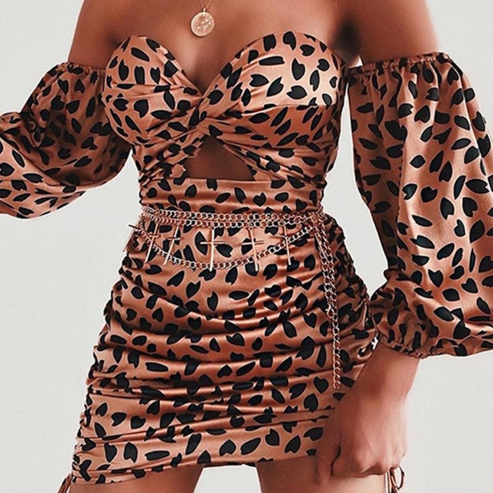 Leopard Mini Dress